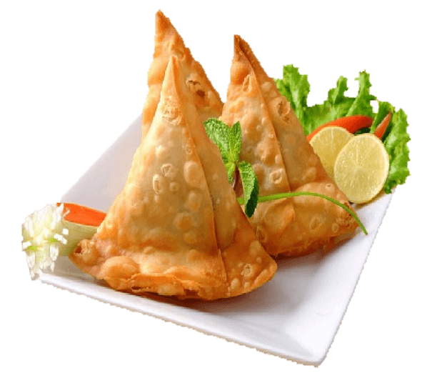 Fried dimsum dish